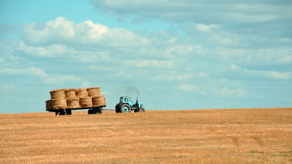 tax loss harvesting